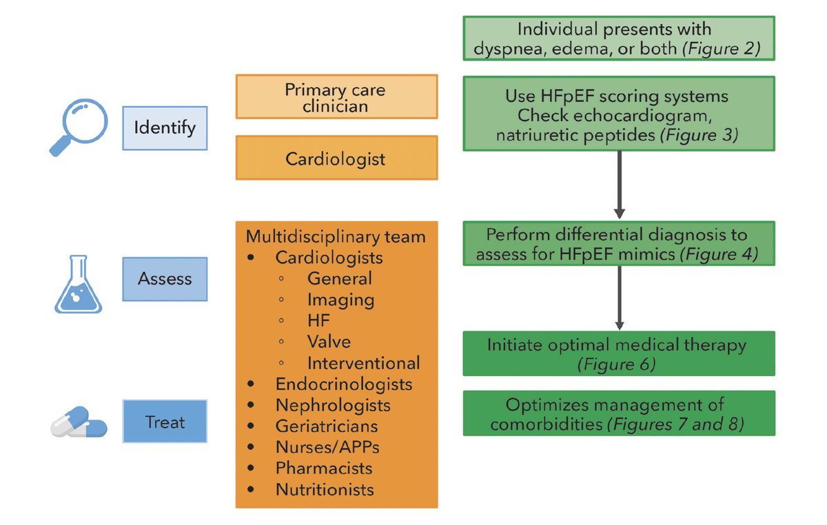 gonzaeperez's tweet photo. MANEJO DE FALLA CARDÍACA CON FE PRESERVADA
Consenso expertos ACC 2026
🔴Diagnóstico
🔴Patologías imitadoras
🔴Tratamiento médico óptimo
🔴Tratamiento de comorbilidades
Vía @JACCJournals #HFpEF
https://t.co/YP9Al2eXsc https://t.co/9ddqF6eFhK