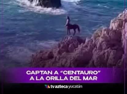 PonchoGutz's tweet photo. -A Sheinbaum le incomoda nuestro periodismo

El periodismo: https://t.co/dAHJCR5OF2