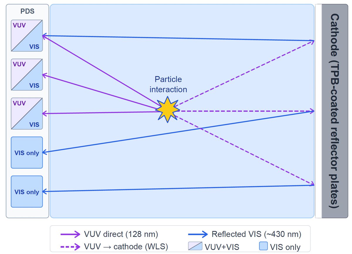 sbnddetector's tweet photo. We submitted our paper to arXiv on how we fabricated and installed wavelength-shifter-reflecting plates to enhance the light yield in SBND! This was quite an engineering challenge to manufacture ~40 m2  of these plates! You can find more about it here https://t.co/0zntyCvgQA https://t.co/xmSjmOQmba