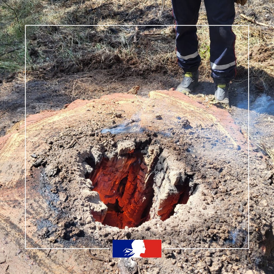 Préfet des Hautes-Alpes tweet media