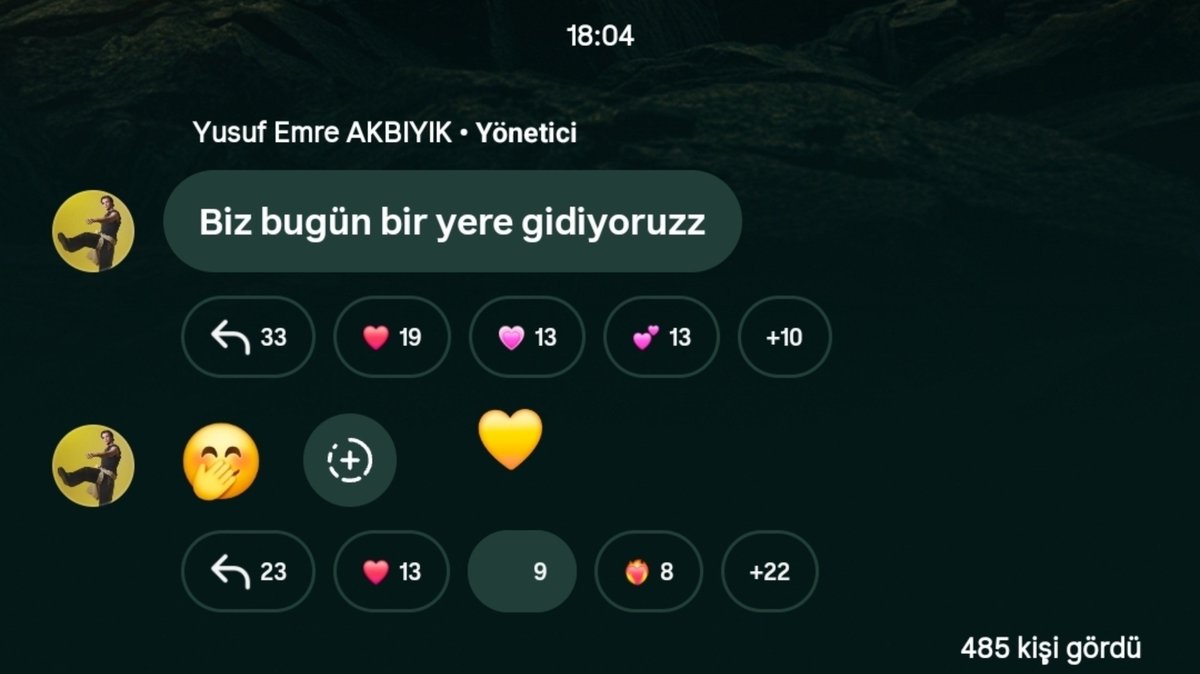 cerenlix's tweet photo. peki crush ve radikalin sonunda kavusmasi https://t.co/VCOVuAkymR