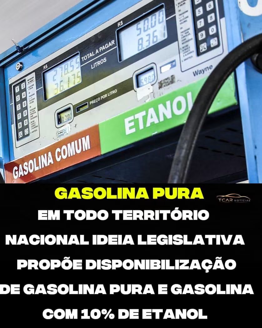 JosOCastro3's tweet photo. https://t.co/diWUyRDzPX