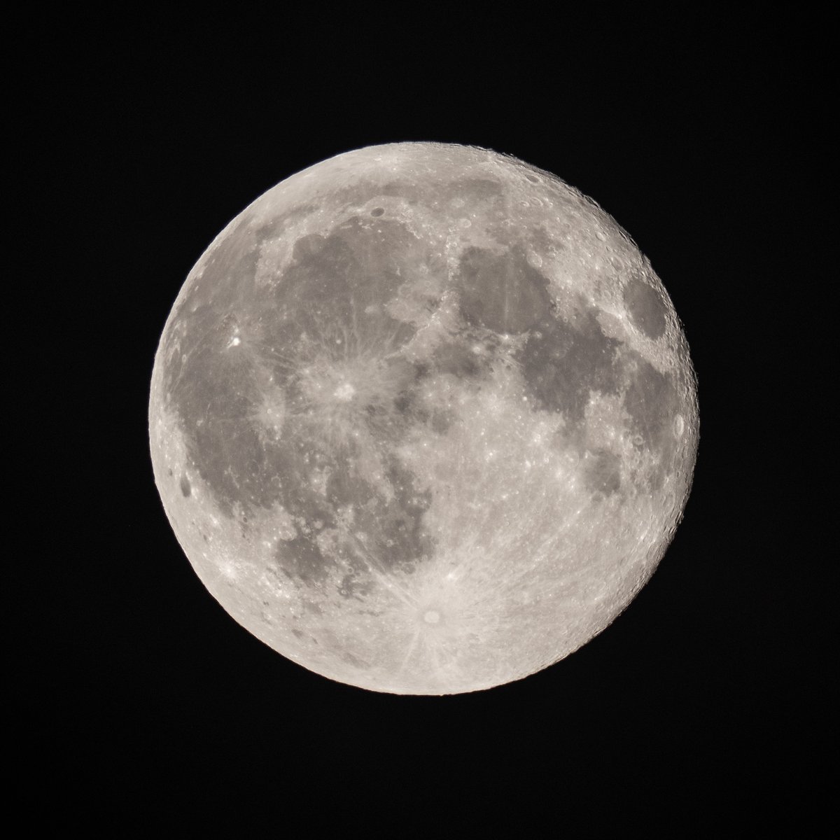 SajiObservatory's tweet photo. 今夜は満月です。雲が多いですが、時々、美しい月が顔を出しています。目ではまん丸に見える月も、望遠鏡で撮影すると、意外と欠けていてビックリですね。#星取県 #鳥取市 #月 https://t.co/dFHZtymHue