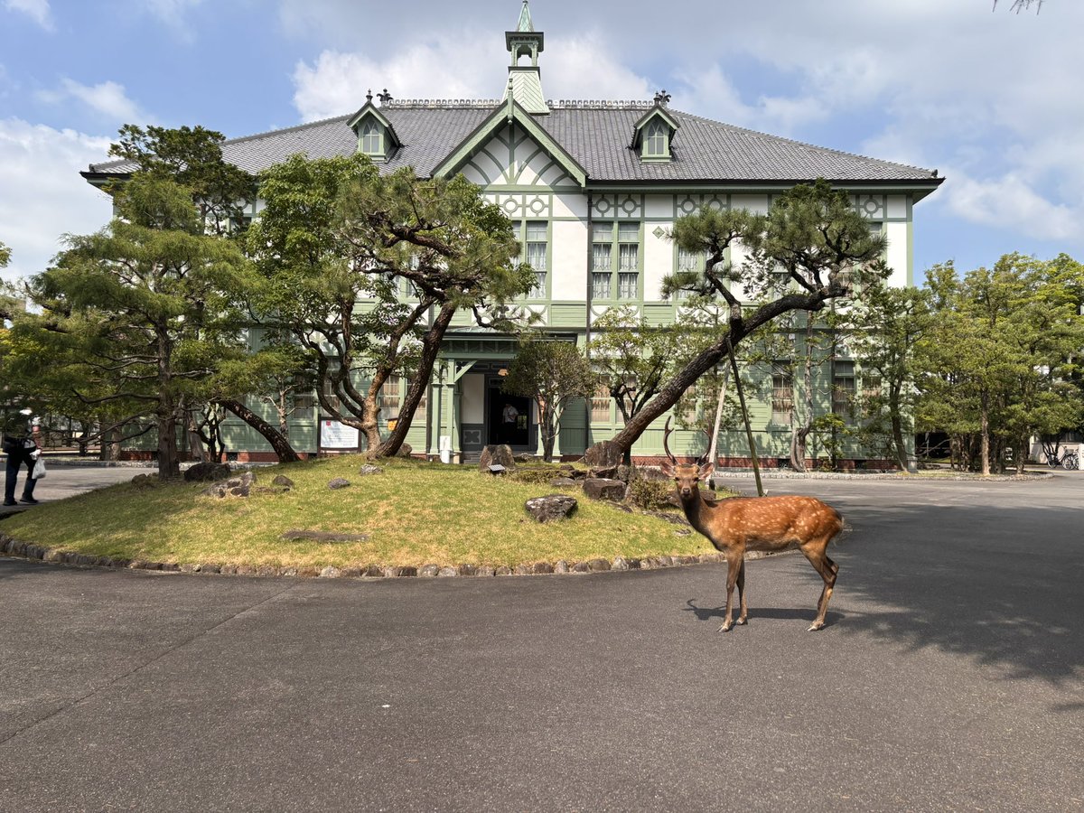 MALT_Utokyo's tweet photo. 奈良女子大学で開催中のタンデム加速器及びその周辺技術の研究会、通称タンデム研究会に参加しています。

駅前や学内にも平然と鹿がいて驚きました！😳 https://t.co/draOwWXigA