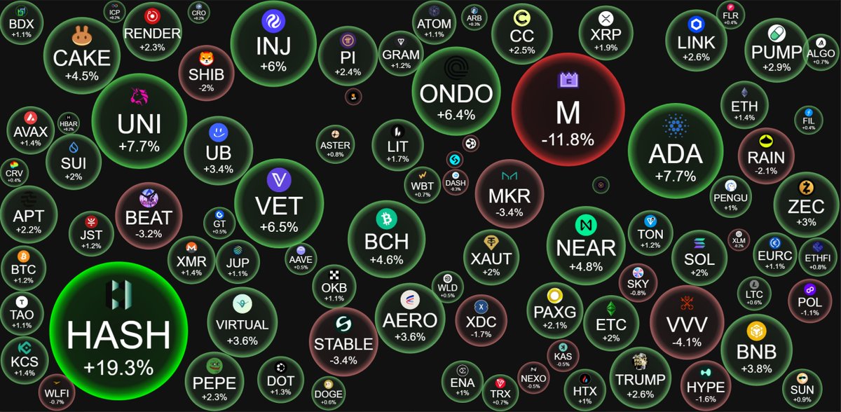 CryptoBubbles tweet picture