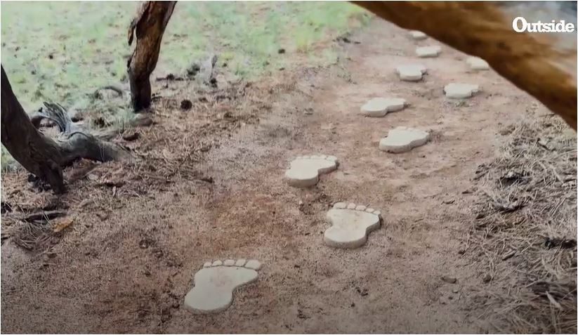 BarefootPeace's tweet photo. My Feet Were Destroyed After 40 Miles in the Grand Canyon. This #Barefoot Trail Saved Them. https://t.co/nBS6WFMvcg https://t.co/gXOp4oBWjr