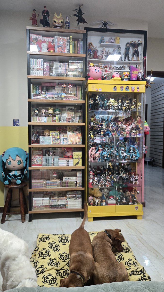 Sarah Chibi tweet media