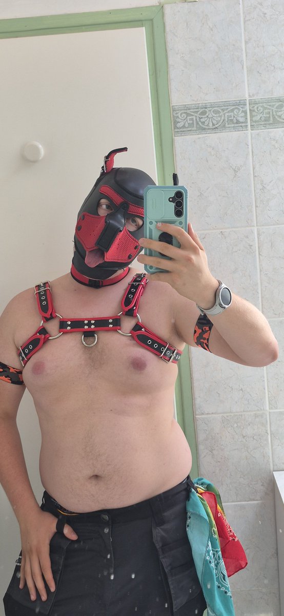 Max_elpup's tweet photo. Little puppy in heat, who needs to have fun!! 

#puppy https://t.co/Sn99QFsnUB