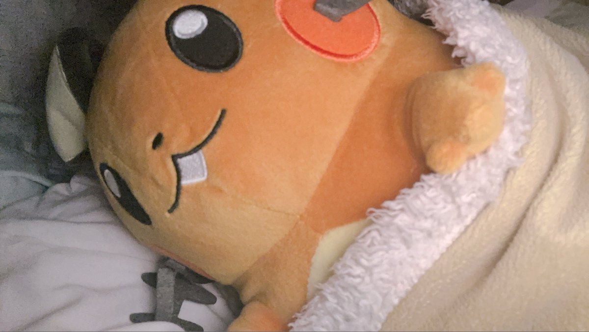 lovelydedenne's tweet photo. おやすみ 💤デデちゃん🌙 https://t.co/GLCRU7WYD7