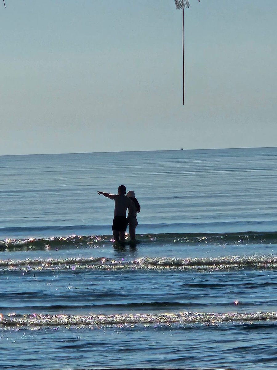 0xAMS93's tweet photo. I saw a dolphin 🐬 in the black sea
#Navodari #Romania https://t.co/3W7ylMEKwg