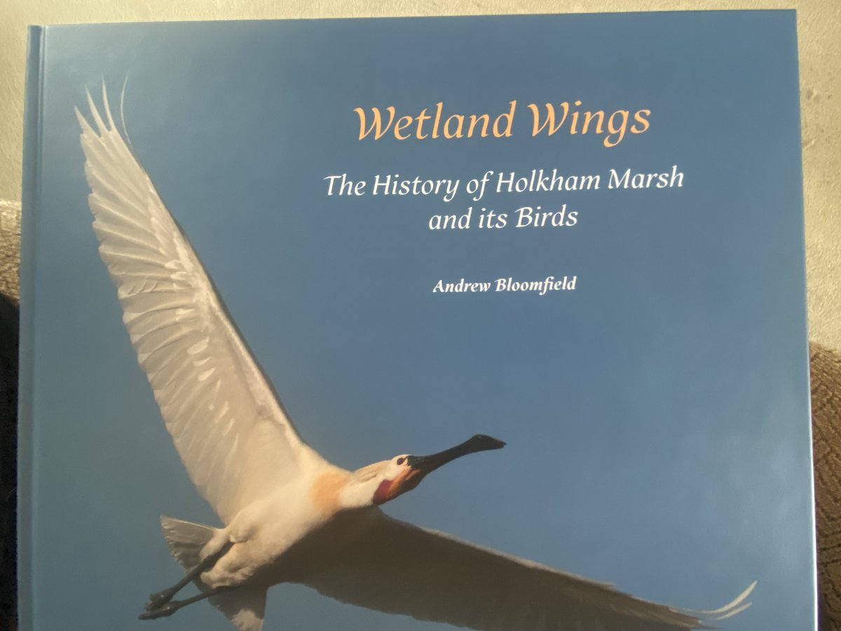 IreneBoston2's tweet photo. Got my copy today of Andy Bloomfield's new book on Holkham Marsh, courtesy of the Les Bunyan courier service... 😉 Superb, Andy. A must buy for any birder or  who lives in or visits Norfolk. Spread the word! @NHarnser @acorncarver https://t.co/hdEFelpAYm