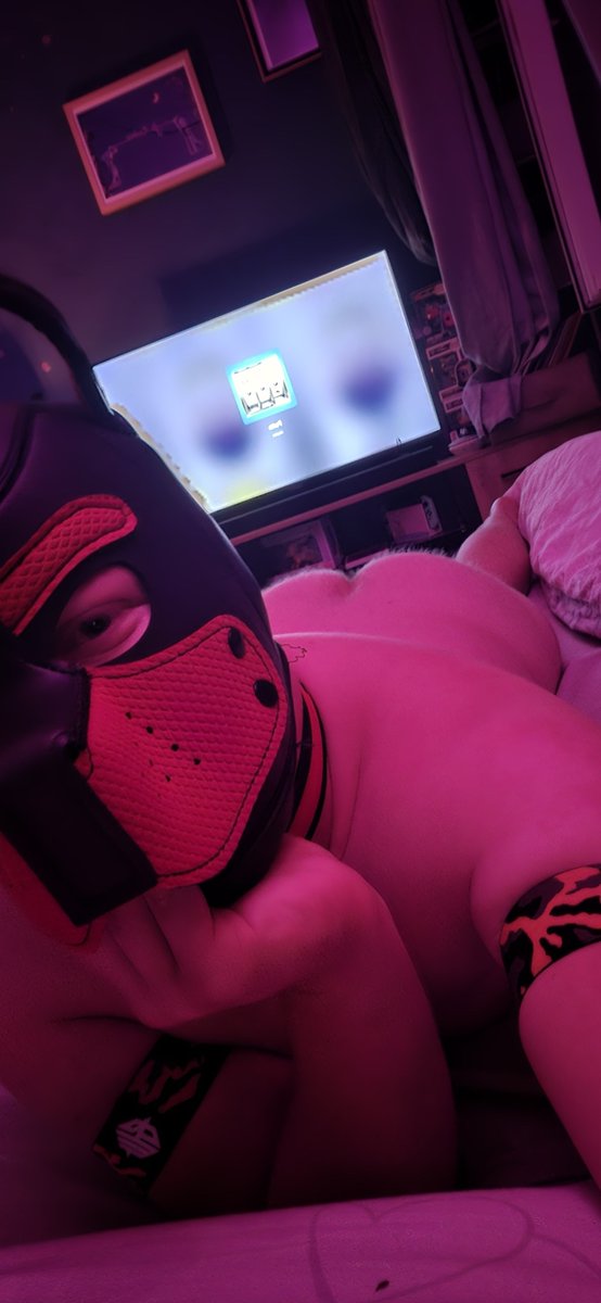 Max_elpup's tweet photo. Little puppy in heat, who needs to have fun!! 

#puppy https://t.co/Sn99QFsnUB