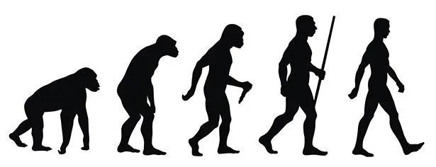 jipada2's tweet photo. @LeeJia926 @Pimchan011118 Humans and monkeys are related; we are classified as primates—a group of mammals—and share a common ancestor from millions of years ago. https://t.co/CGCTnZL3ff