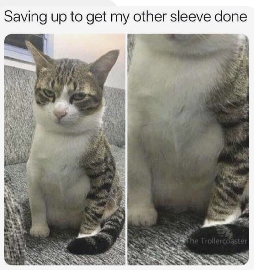 MemeShredder's tweet photo. 😆😆  #Meme / #DankMemes / #MemeOfTheDay / #Shitpost 😆😆 https://t.co/JY6A2ulcLN