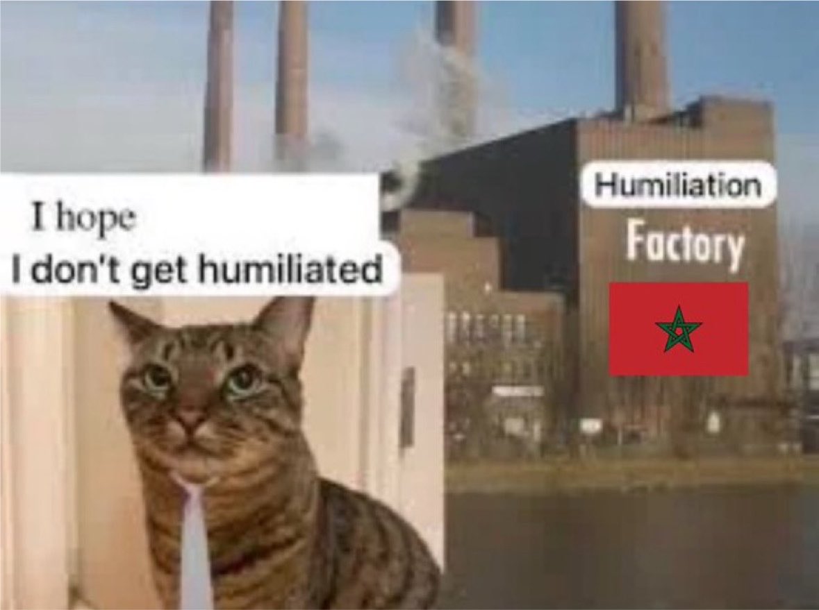 raniania tweet media