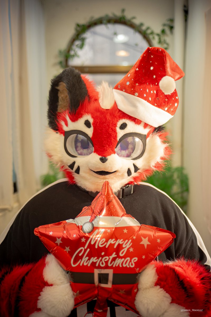 HwaE_flametiger's tweet photo. 함께 있다면 한여름이라도 크리스마스의 마법이 함께하는 하루가 되지 않을까? 😊
#FursuitFriday 
📷📷 @moon_Moony97 https://t.co/6jghLWo1ZG