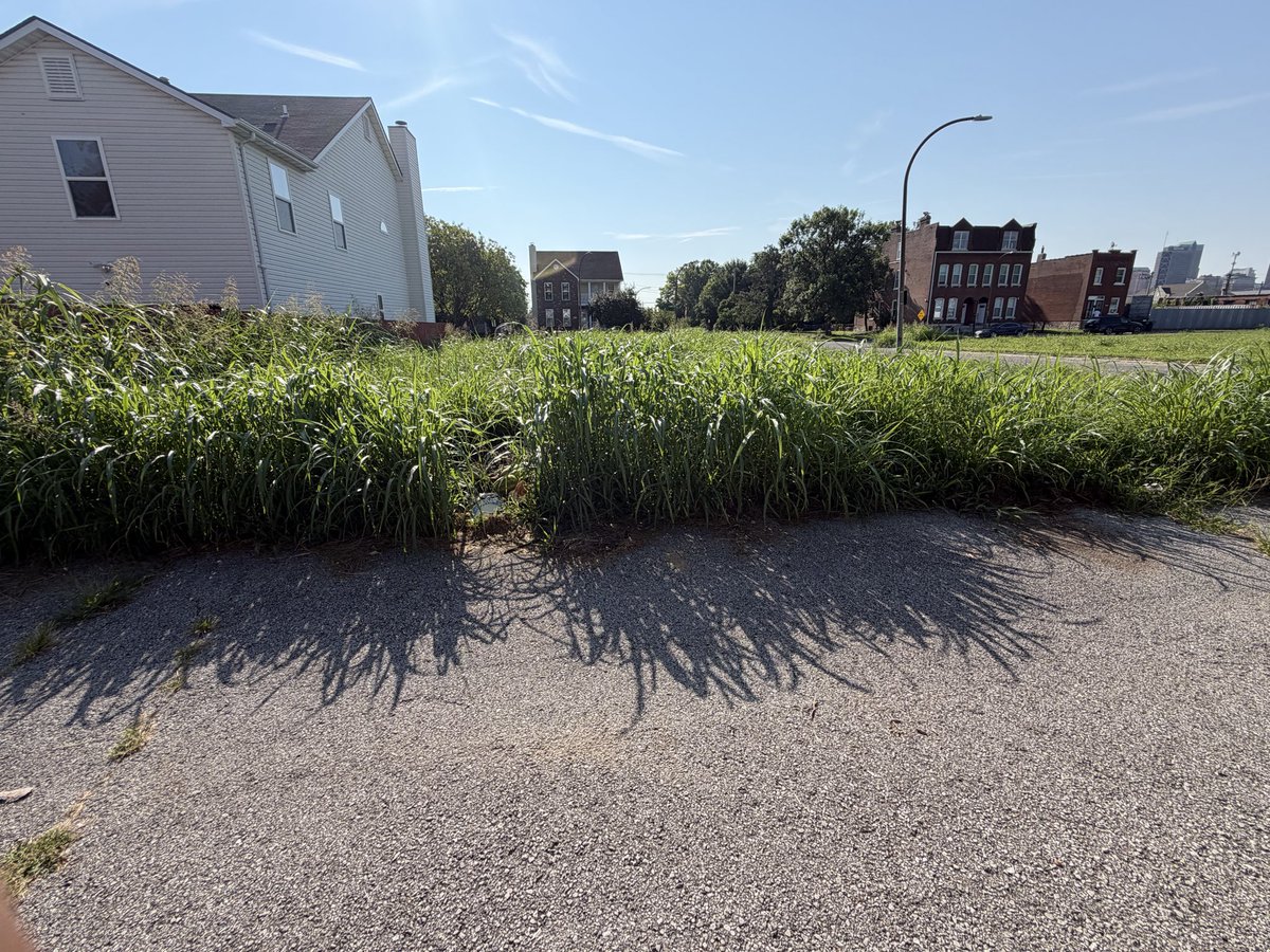 SeanADOS1863's tweet photo. @stlcsb grass needs cutting at 17th and Mullanphy https://t.co/I4owpV6JKo
