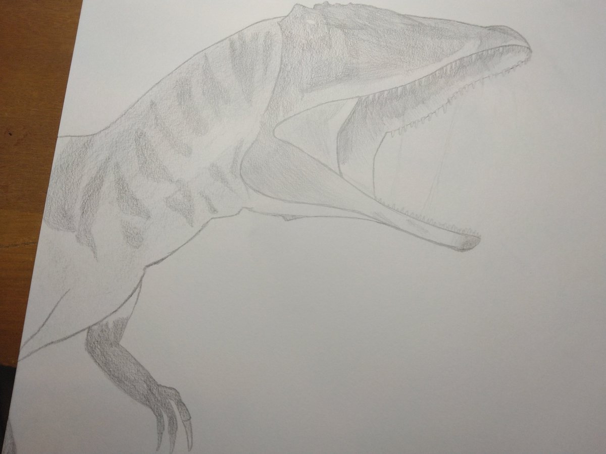xx121_79's tweet photo. 今単色の絵上手くなるように頑張ってて前載せたこの子達もそれの中の1つなんだけど最低でも1週間に1枚のペースで描いて行きたいね

クリーチャーだけじゃなくてボカロも描いていきたい！！ https://t.co/MNwhrz5t4c