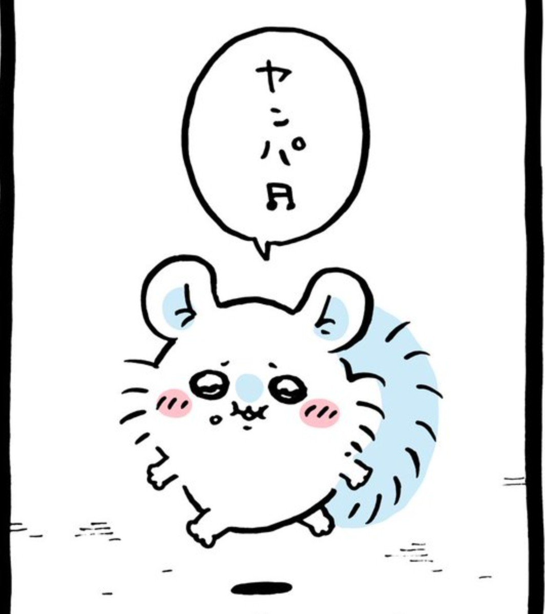 arou 𐙚 tweet media