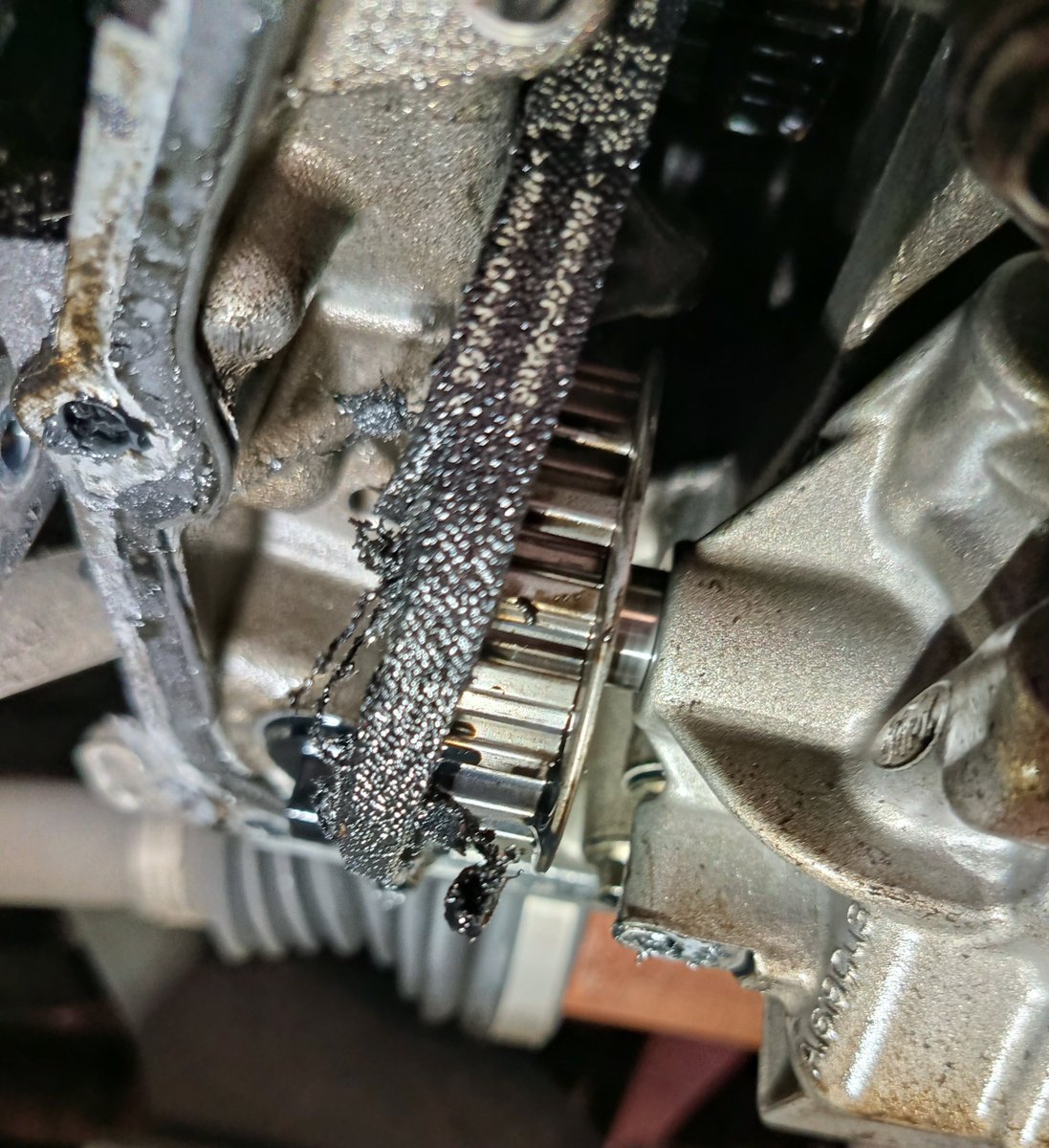 MaximalesD's tweet photo. Warum man bei Motoren, die Zahnriemen haben welche in Öl laufen, noch penibler auf den Ölwechselintervall UND auf das RICHTIGE Öl welches vom Hersteller FREIGEGEBEN ist, achten sollte!

Aber das wissen die Hobby Schrauber aus der Do-it-yourself Abteilung natürlich besser🤝 https://t.co/nKcnJ2aHbz