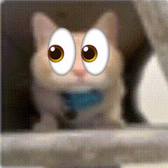 irissadelis's tweet photo. @tht1intelbroker um, just keep an eye out… and uhhh don’t sleep https://t.co/bYigig26rn