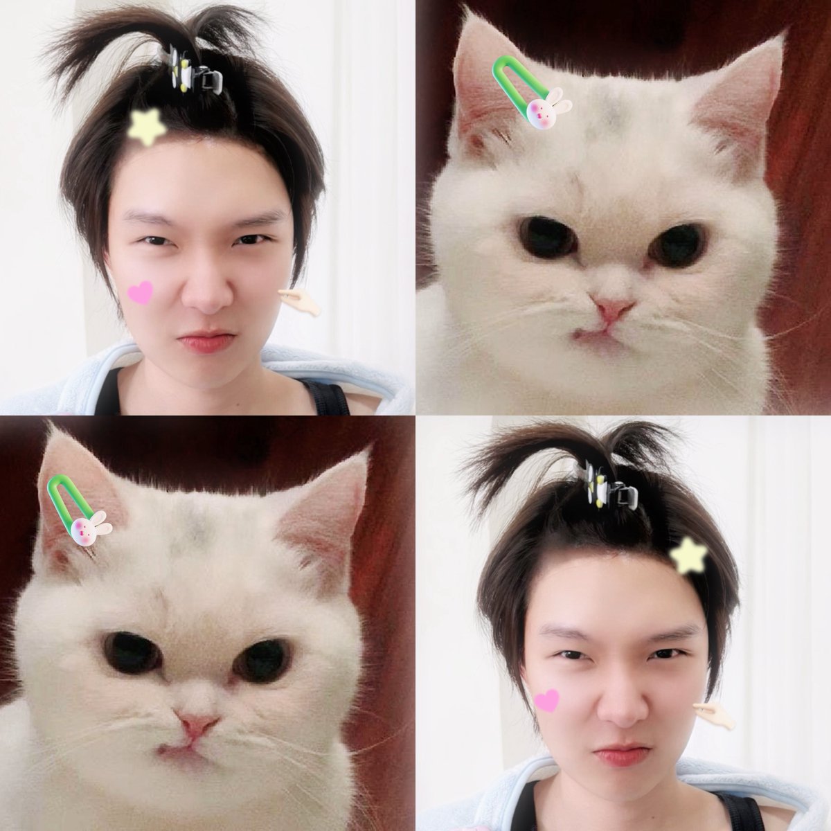 Kengpingsterr's tweet photo. @justadaisya Sorry accepted https://t.co/C63XCyyOCi
