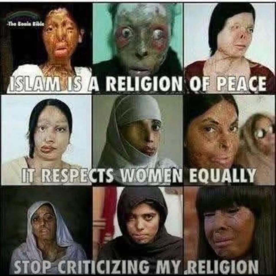 JOrtlep23's tweet photo. @Lemme1488 @BeetlesAreDocto DAS ist der Islam! https://t.co/bxIrdxpE8q