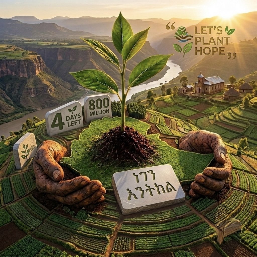 admet3c's tweet photo. #greenethiooia #futurgeneratiin https://t.co/VJf6CZBLzq