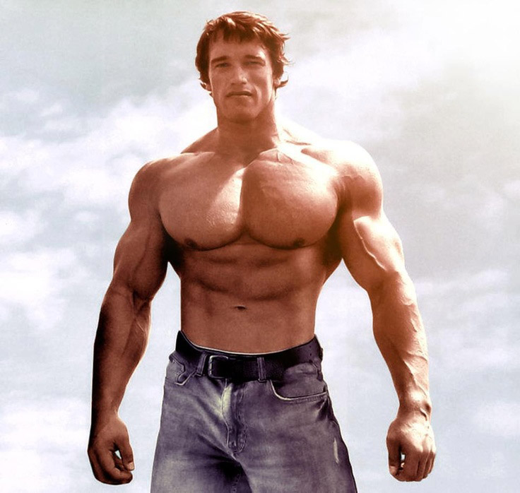 Horizonspte's tweet photo. #adayliketoday 1947 Austrian-American actor-businessman-film producer-politician-former professional bodybuilder @Schwarzenegger was born in #Thal #Austria After bodybuilding, he gained worldwide fame as a #Hollywood action movie star.  His films have grossed +$5.4 billion. #Icon https://t.co/OVQaEiiVVy
