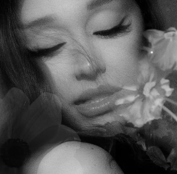 readurmindx's tweet photo. happy petal day!! it’s ours in twelve hours .ꕤ ｡° https://t.co/lYrYWLIOfF