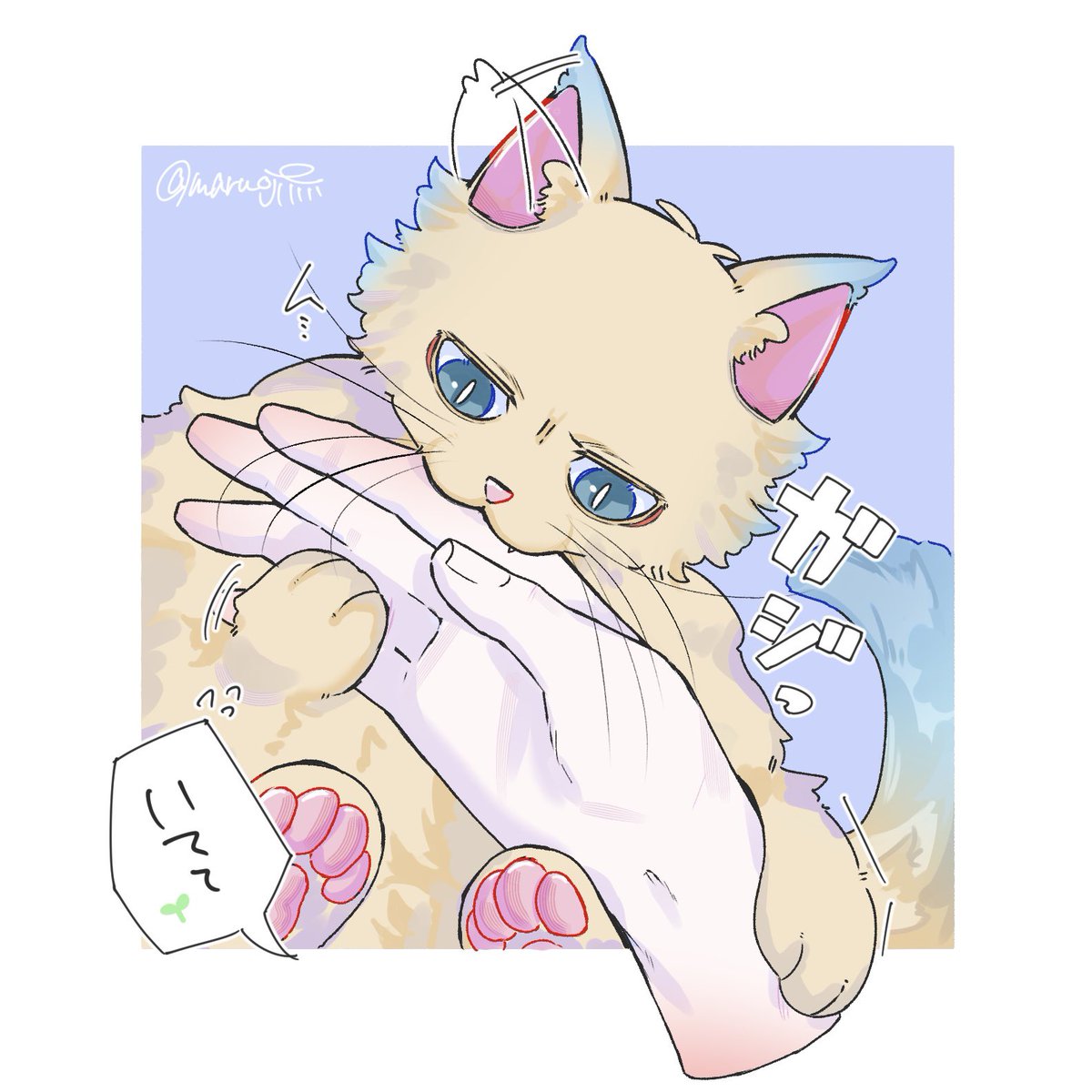 maruojiiiii's tweet photo. なんか不満があったらしい🐱🌹 https://t.co/C55SWRRlJJ