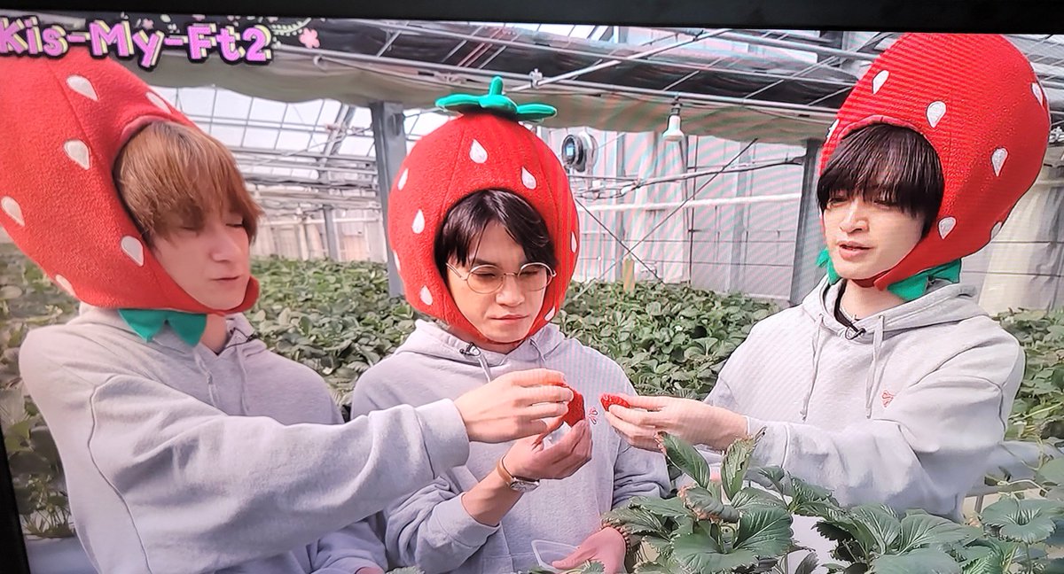R_fraise317's tweet photo. こんな時間にまたいちご3兄弟観てる。
いつ観ても最高にかわいい🍓🍓🍓 https://t.co/7r3ZmnQ8nR