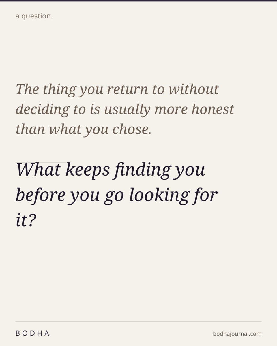 bodhajournal's tweet photo. #selfknowledge https://t.co/qnXor6xywk