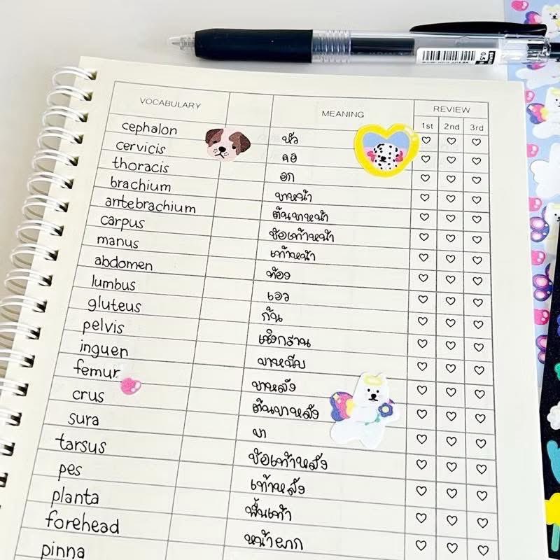LadyNam1991's tweet photo. ตัวสมุดจะมีส่วนของ Vocab และ Meaning ส่วนช่องตรงกลางของคุณเก้า จะใช้เขียนประเภทของคำนะ

เผื่อใครหาไม่เจอ
.
🧡 https://t.co/ovSCx6AZWX
💙 https://t.co/OTcvnvNAcy https://t.co/46L0Vx2CUv