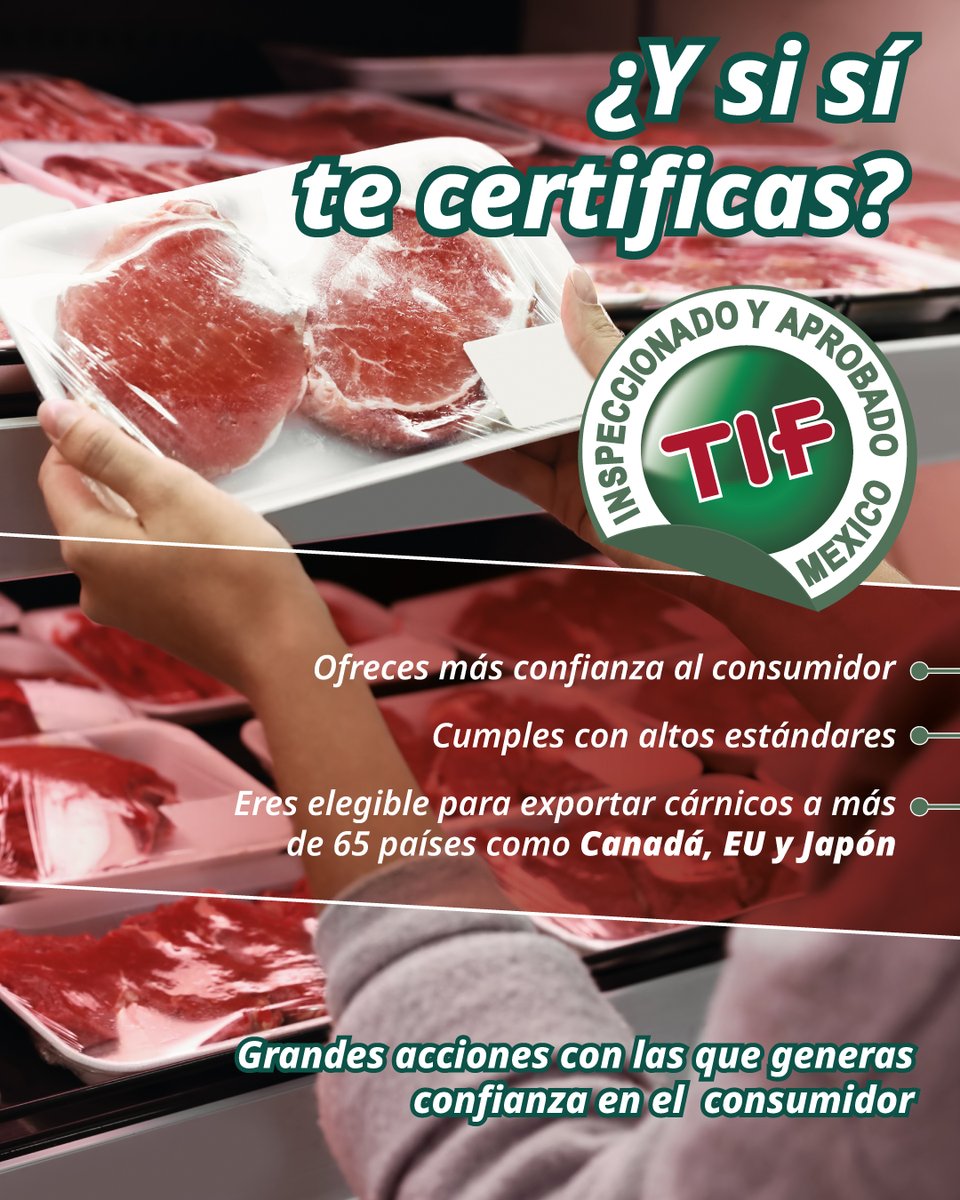 SENASICA's tweet photo. El “Y si sí” no pasa de moda si es cuestión de sanidad e inocuidad alimentaria. 🥩

Certifícate y ofrece a tus consumidores productos de alta calidad, con el sello de confianza que #TIF representa. 🍖 

¡Acércate a Senasica! 😉👍

#Certificacion #ProductosTIF #TIFLover #Ysisi https://t.co/w8w4c9fDWj