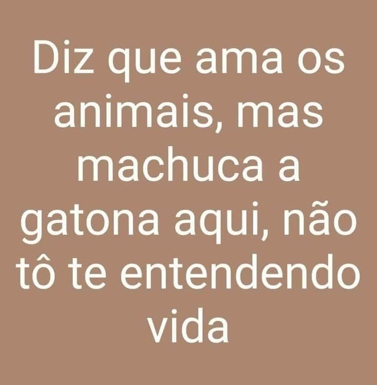 mavienb's tweet photo. https://t.co/fo3DkSolwa
