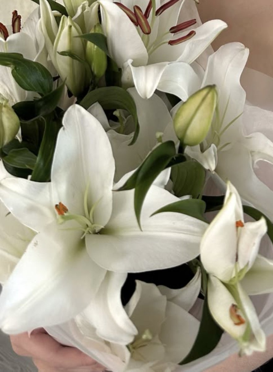 TheZetetic2's tweet photo. Got em all :P
I thought these in the left  were roses but no i think they're another type of flowers
Beautiful nonetheless https://t.co/8NSo0LGFhe