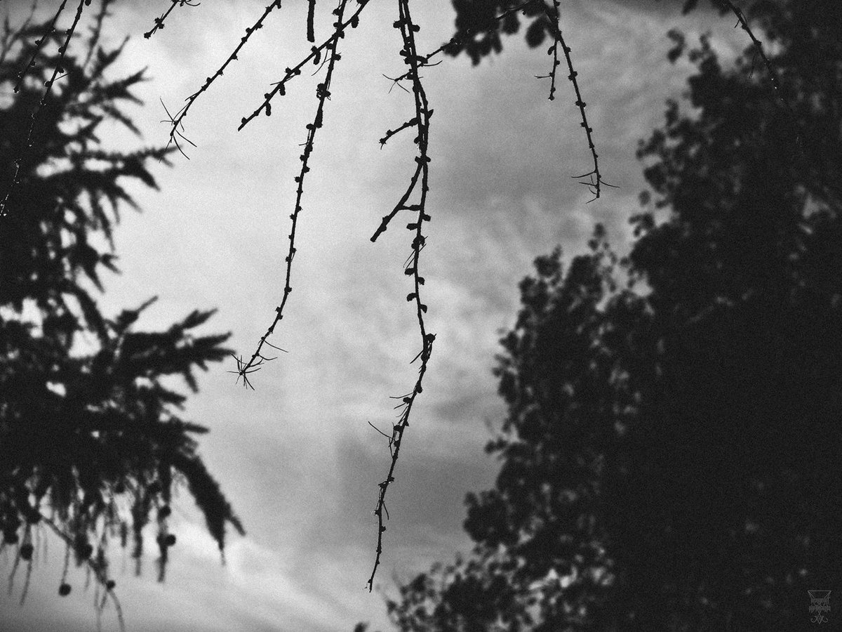 Wyntarkaelte's tweet photo. [ - PΩ|ΠT§ - ]
2015

🎵: https://t.co/4x6FtRW7dA

#PhotographyIsArt  #outdoor #outdoorphotography #nature #naturephotography #photography #filterphotography #blackandwhitephotography #timeexposure #timeexposurephotography #darkart #timeexposure https://t.co/KY8ZIsCOUE