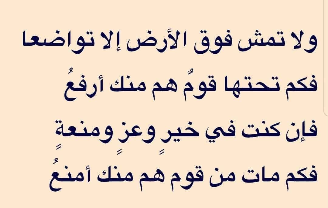 medhata44's tweet photo. https://t.co/tVYq4xLiax