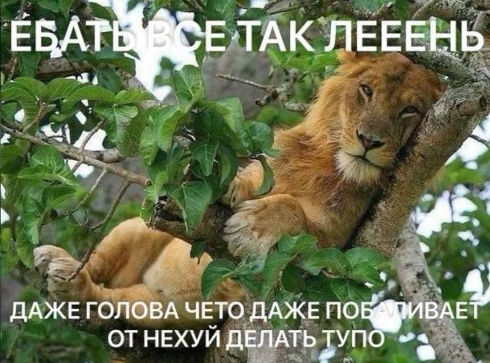 Alexeymash2's tweet photo. https://t.co/udxIsrtDfa