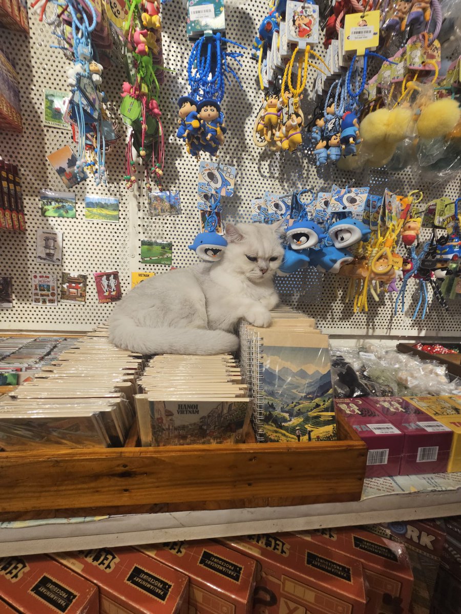 Halfaa6's tweet photo. J'ai quand même un peu visité Hanoï😅 https://t.co/vqr1PO8Qut