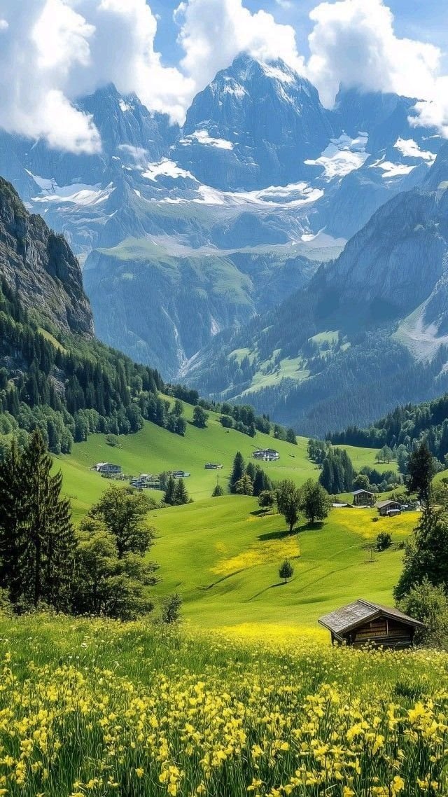 TravelBucketX's tweet photo. Summer in Switzerland 🇨🇭 https://t.co/jSsSPb6L1T