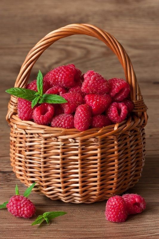Paysages_lands's tweet photo. Fruit 🍓🍒 https://t.co/Ir1gUM1M5g