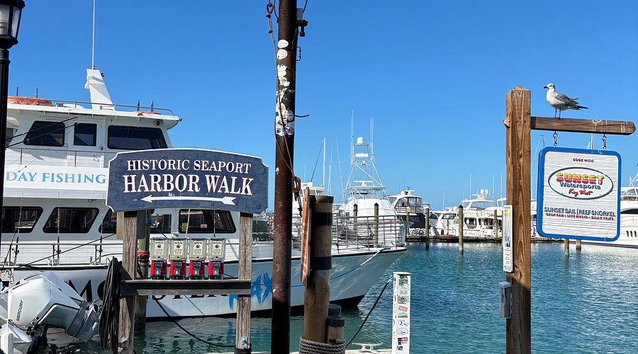 HistoricSeaport's tweet photo. 🌞Sunshine, salt air, fresh seafood, and waterfront views ⚓️

Stroll the harbor, watch the boats come and go, enjoy local shops and restaurants, and experience the vibrant energy at the Key West #HistoricSeaport 🌊 https://t.co/gF0ay4VWi6