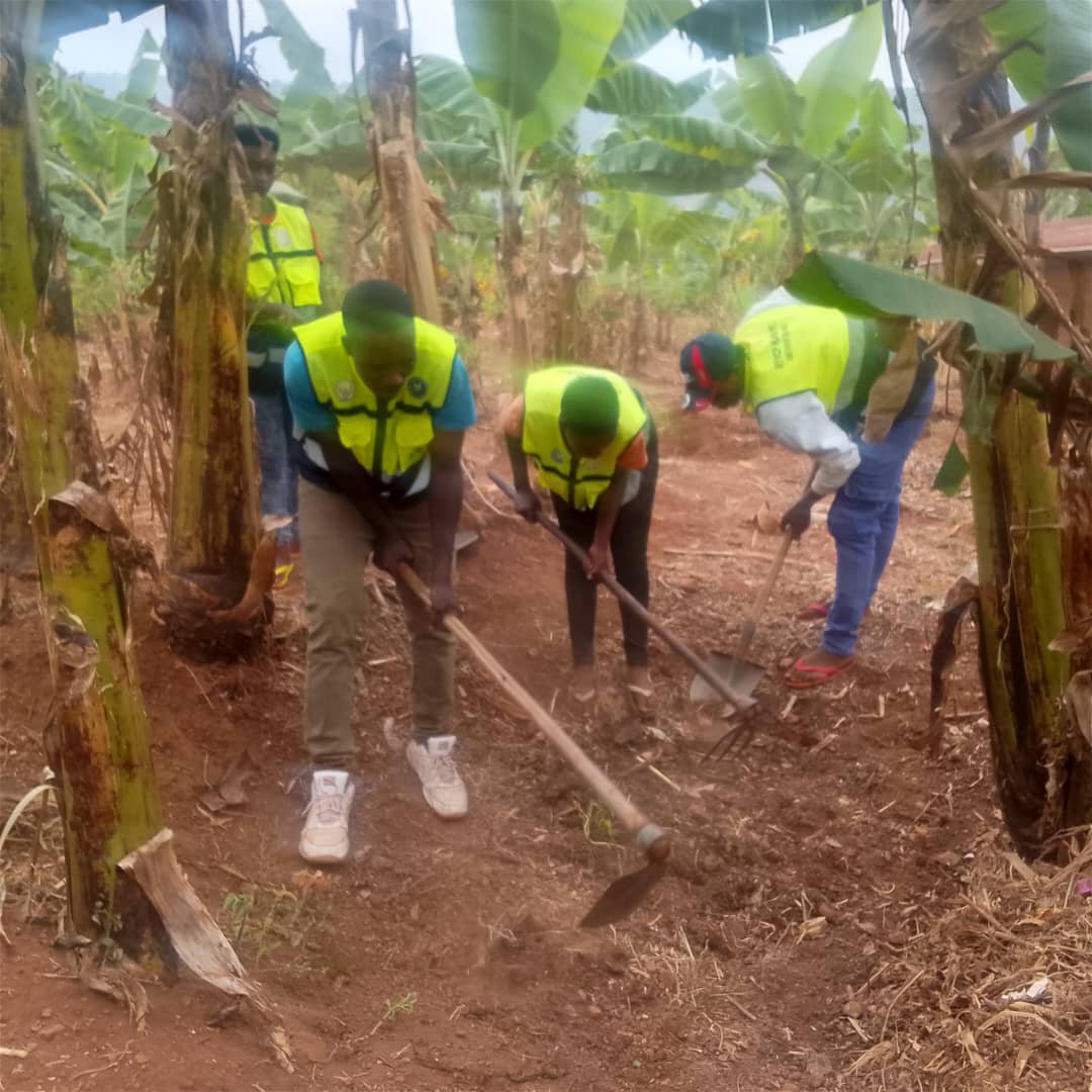 RyvcpKamonyi's tweet photo. Uyu munsi @RwandaYouthVol1 muri  Rukoma,twakoze umuganda wo kubakira ingarane umuturage  utuye mukagari ka Murehe, umudugudu wa Murehe murwego rwo kwimakaza umuco w'isuku n'isukura,
@Kamonyi @ryvcpsouthprov @RwandaLocalGov https://t.co/BHd05EaGxI