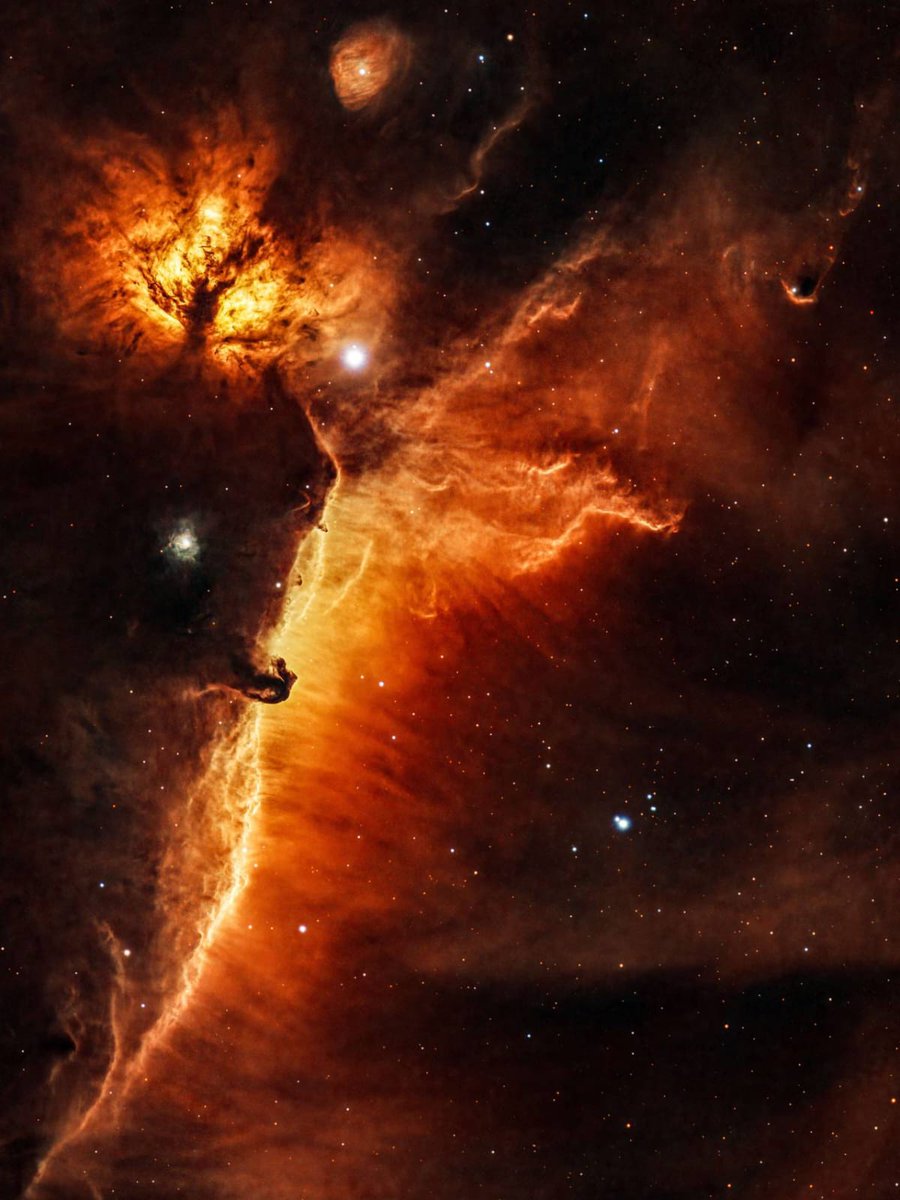 spacevibex's tweet photo. Horsehead Nebula (Barnard 33) and the glowing Flame Nebula (NGC 2024)

Located approximately 1,350 light-years away in the constellation Orion. https://t.co/qOETSTrirq