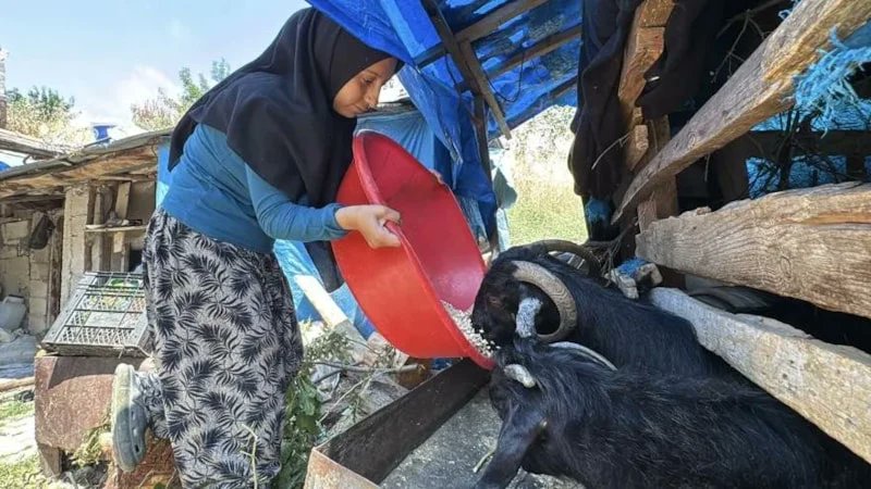 onedio's tweet photo. Hatay'da 6 kardeşinin bakımıyla ilgilenen, tarlada çalışan ve keçi besleyen 18 yaşındaki Mevlüde Duran, eşit ağırlık puan türünde Türkiye 640'ıncısı oldu. https://t.co/NtqeOCFGuu