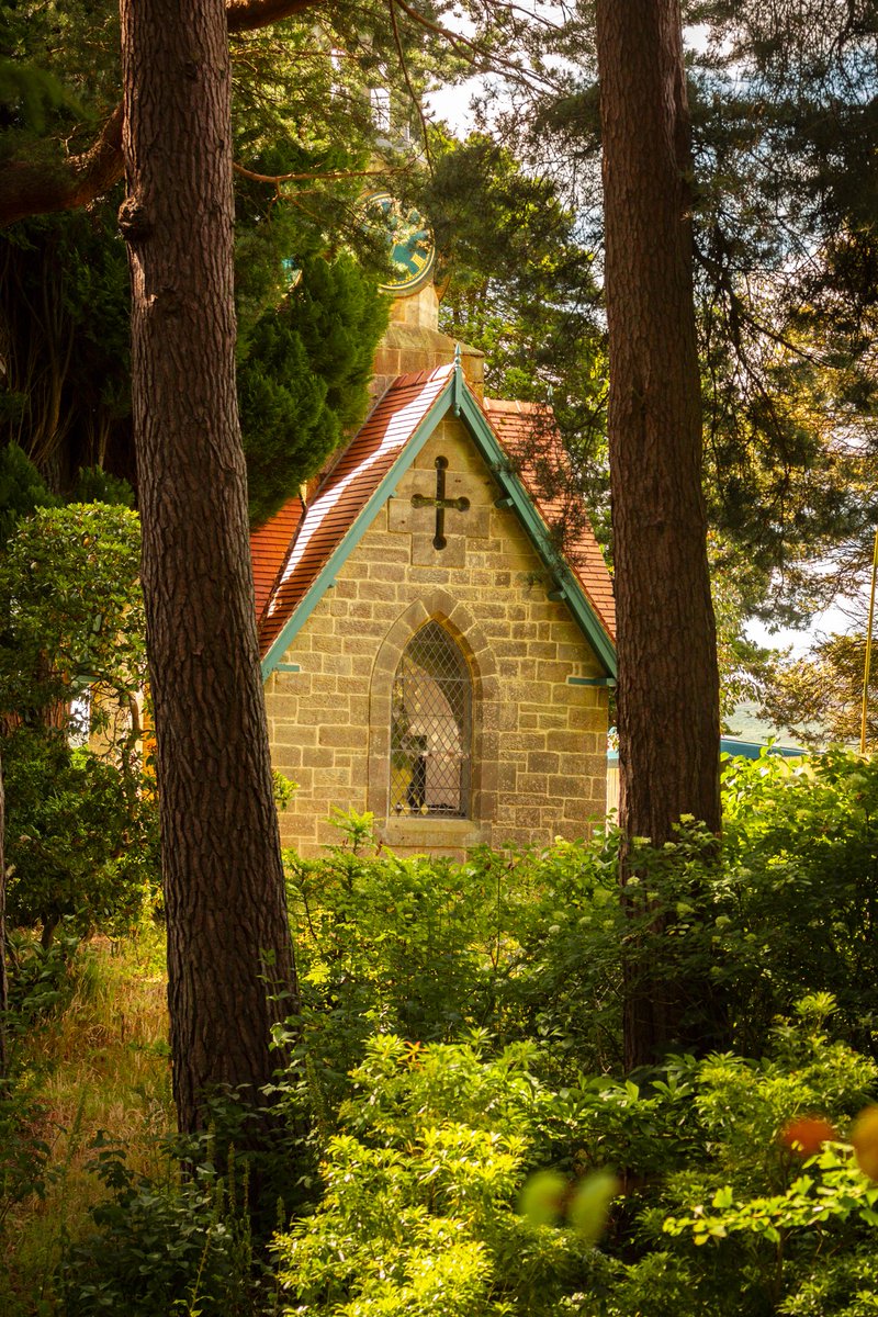 sambncl's tweet photo. Photography has a way of slowing you down.

You start noticing the light, textures, and places most walk straight past.

These frames were taken within a few minutes and every turn seemed to reveal something new.

📍 Cragside, Northumberland

Which image draws you in the most? https://t.co/AbZvgshSqZ