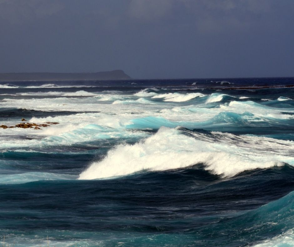 survivalanimal's tweet photo. 📰 The ocean has protected us from the worst of climate change for decades 🌊.

Now it's under immense strain. Marine heatwaves, coral bleaching &amp; biodiversity loss are urgent warnings.

Protecting our oceans has never been more urgent.

🔗 Read more: https://t.co/dTlaQJZMpR https://t.co/JtFm16YiOp