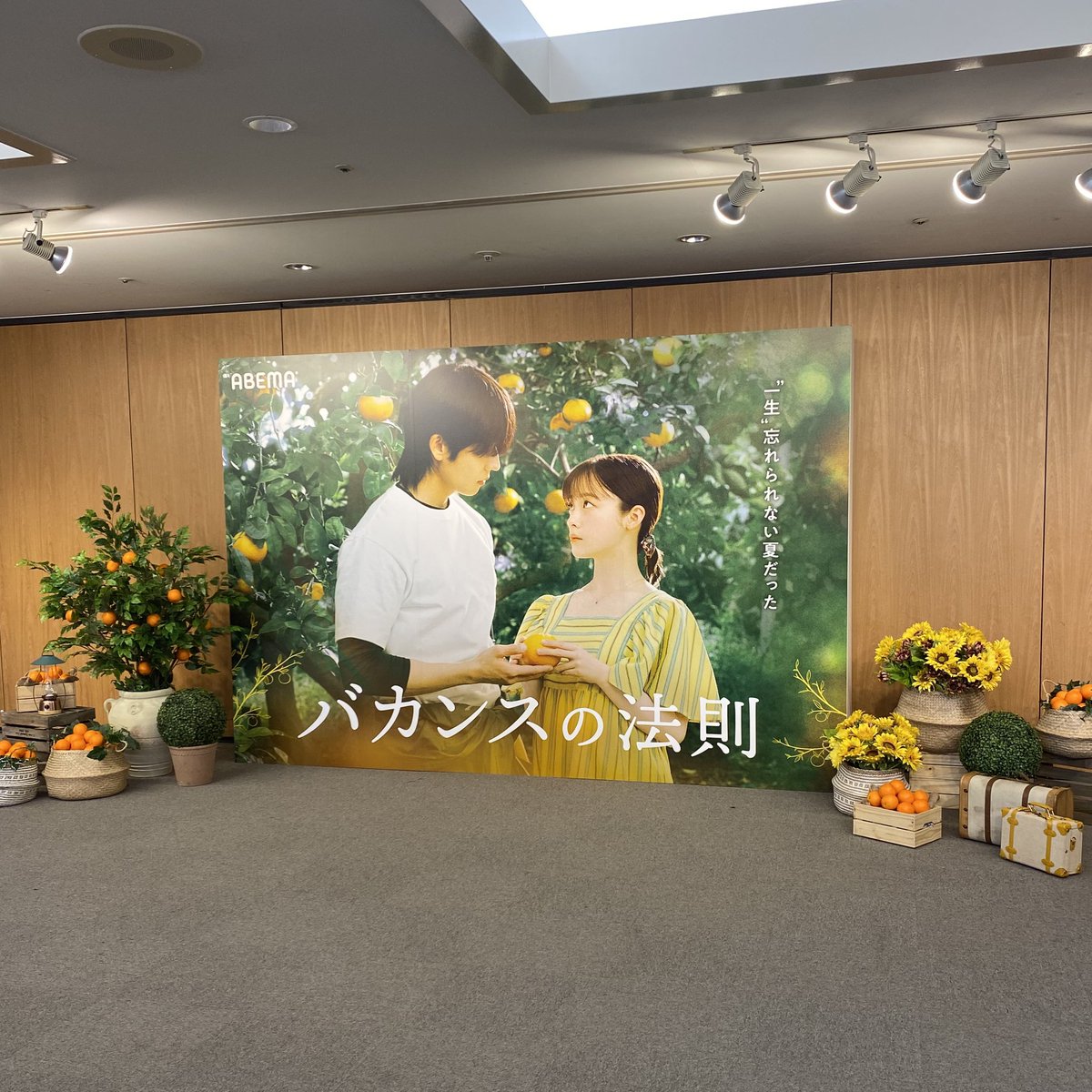 kan_luv_s2's tweet photo. ⌇7.30 バカンスの法則プレミアムイベント⌇
イベントに当選させていただきました🍊✨️
皆さん可愛いしかっこいいしそして仲良しで常に楽しそうだったからお話してて聞いてて終始笑いが止まらなかった！
間近で環奈ちゃん見れてほんとにバカンスでした‼️笑
 #橋本環奈 #橋本純情内科 #バカンスの法則 https://t.co/RHpjFzWXqK